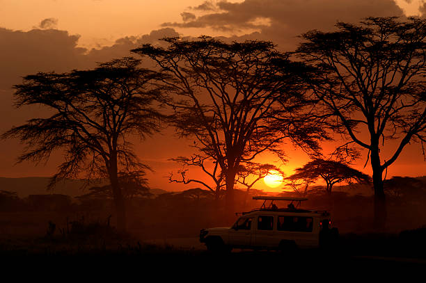 Tanzania image: Serengeti 1